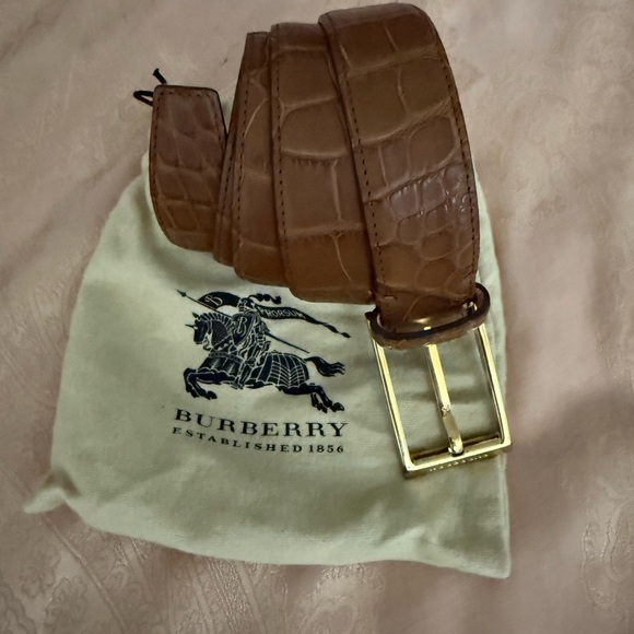 Burberry Brown Belt Bag with Signature Design - Picture 1 of 8